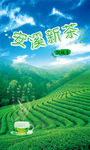 茶叶广告