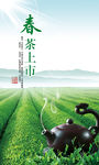 茶叶海报