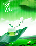 茶叶海报