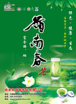 茶叶海报