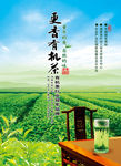 茶叶海报