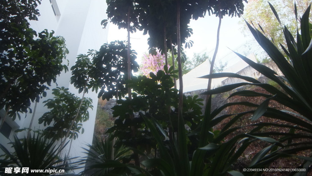植物园