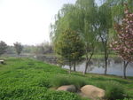 贡湖湾湿地公园