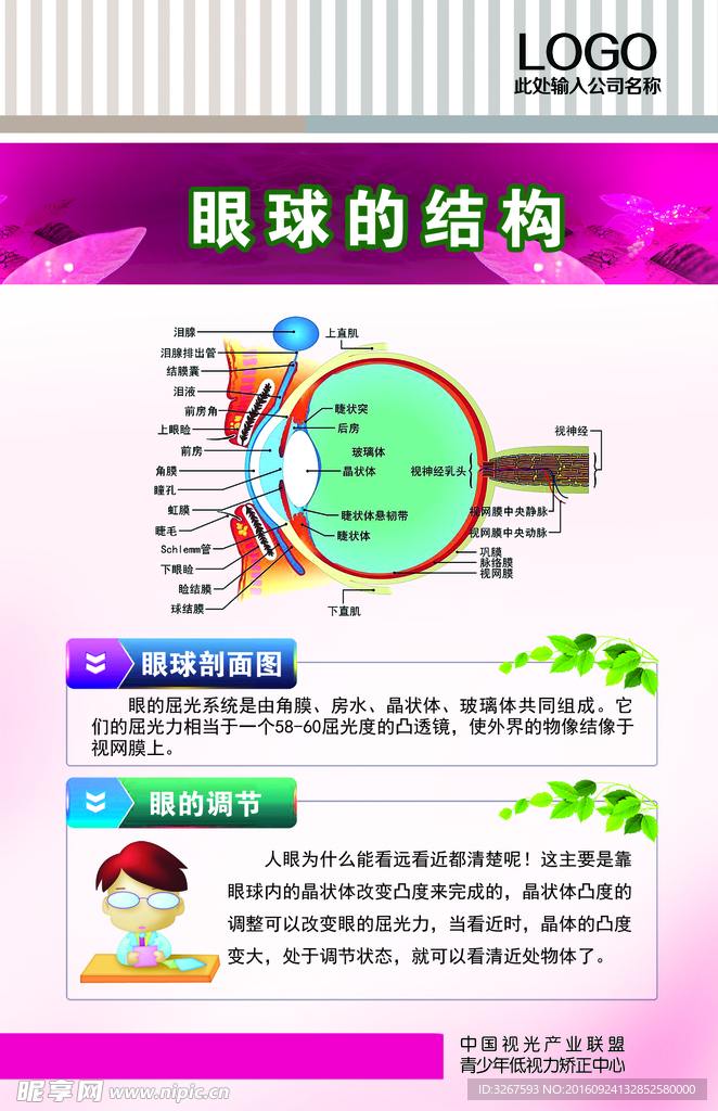 制度素材 PSD分层