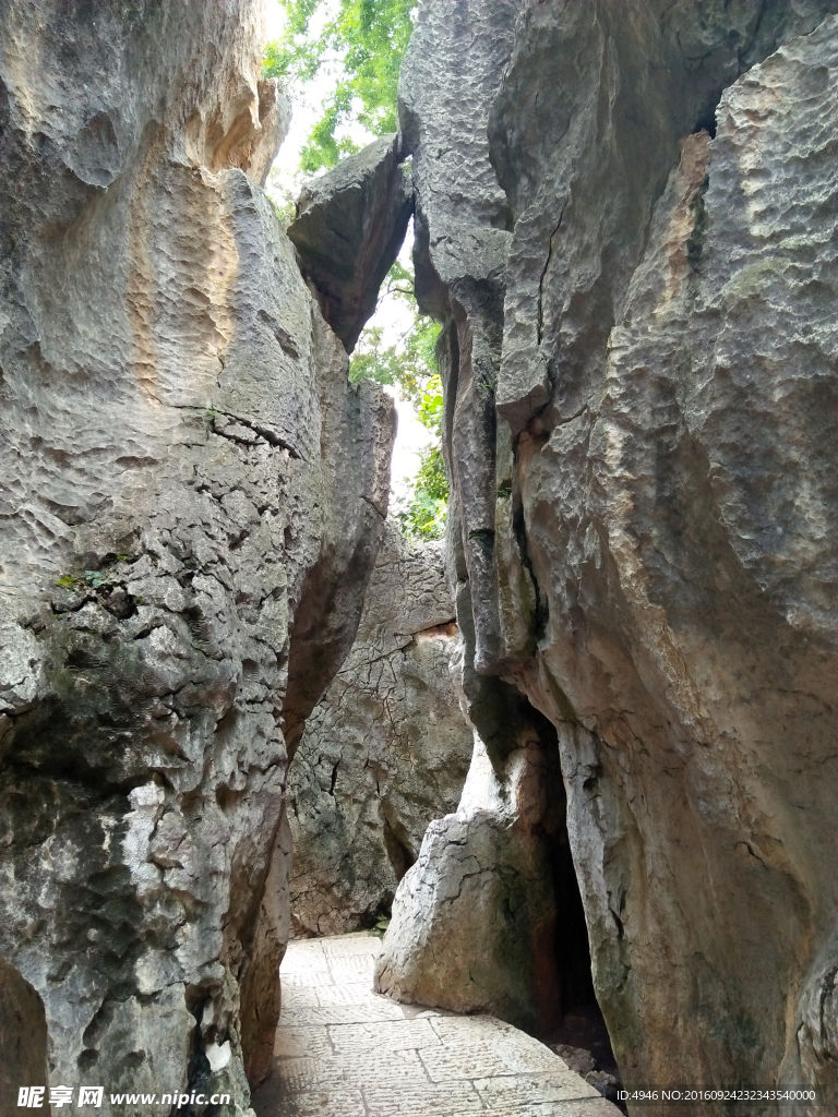 云南石林风光