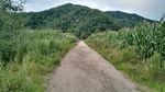 通往大山的路