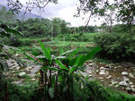 小河