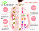前胸通后背反射剖析图
