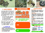 六色灵芝宣传单