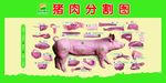 猪肉分割图