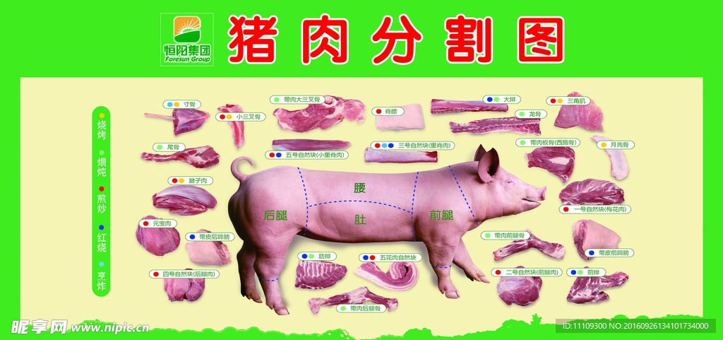 猪肉分割图