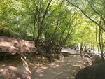 八里沟风景