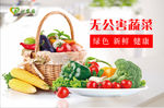 无公害蔬菜