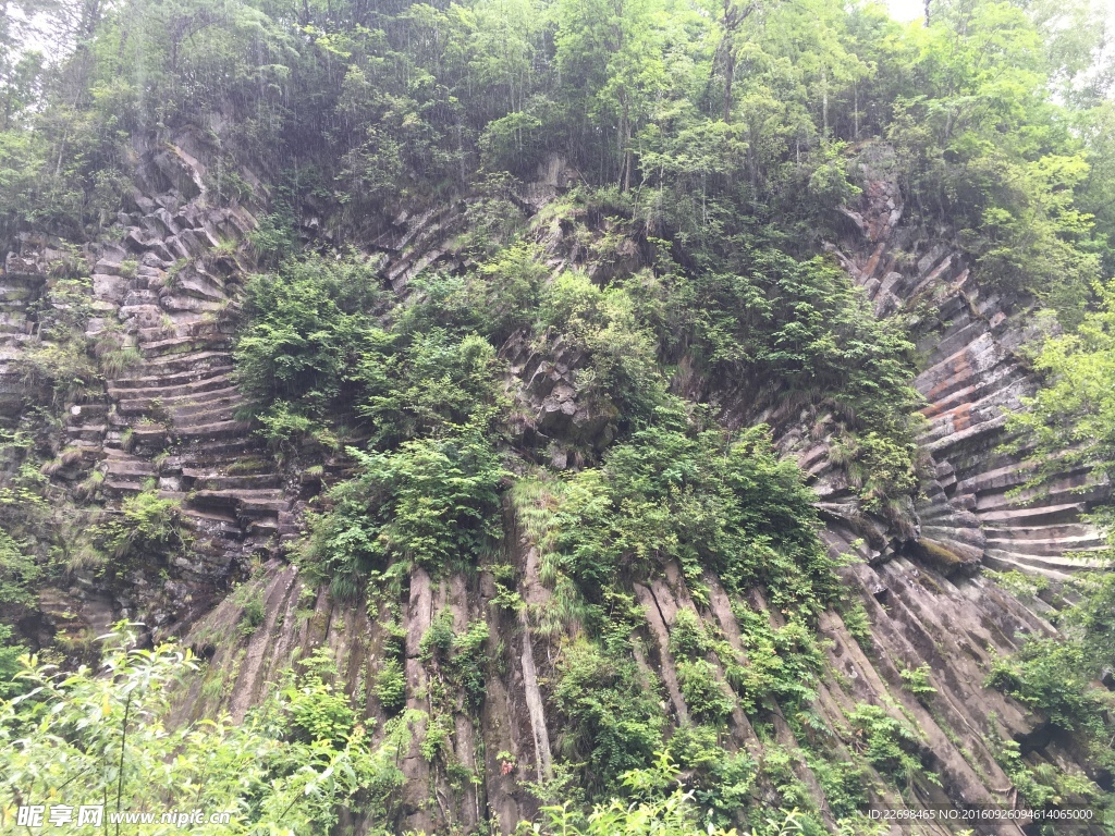 孔雀开屏