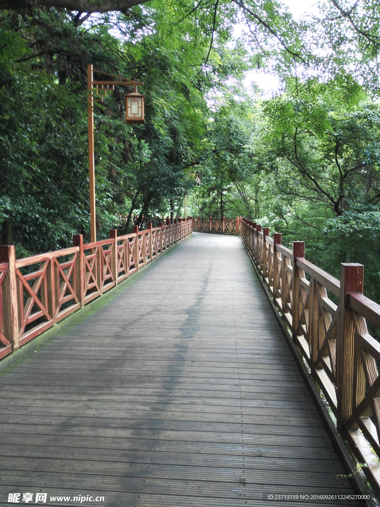 龙岩莲花山栈道