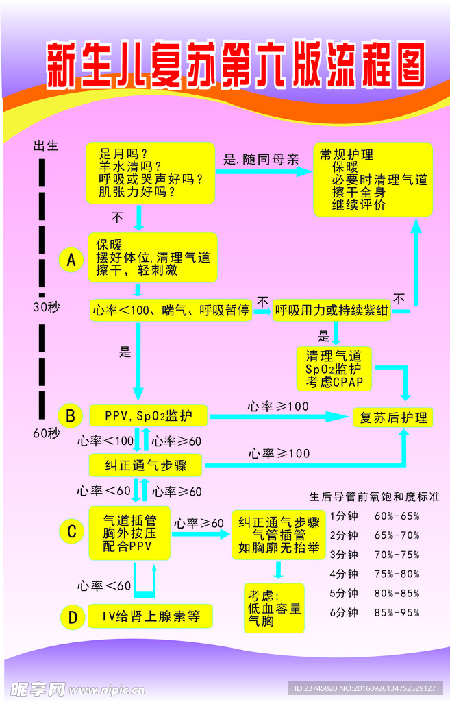 新生儿复第六版苏流程图