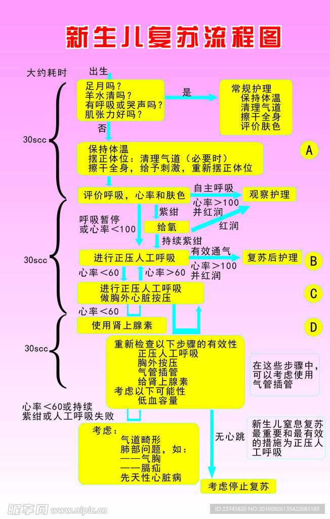 新生儿复苏流程图