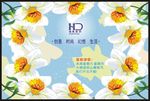 花纹海报