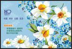 花纹海报