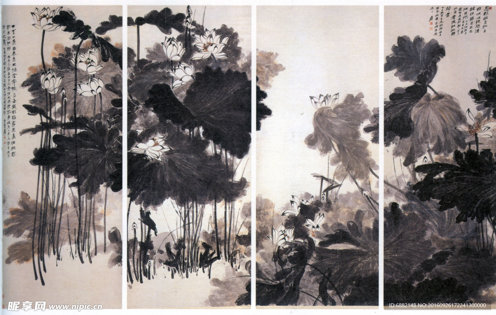 国画荷花