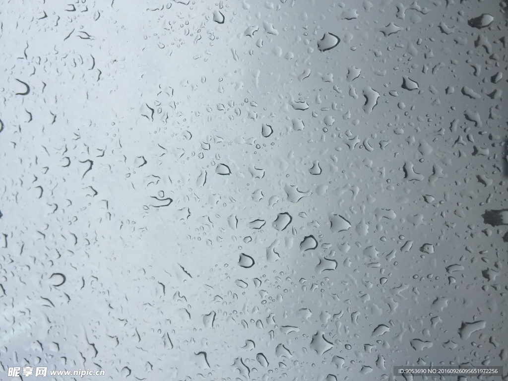 雨