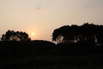 夕阳