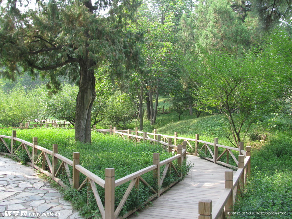 香山公园美景