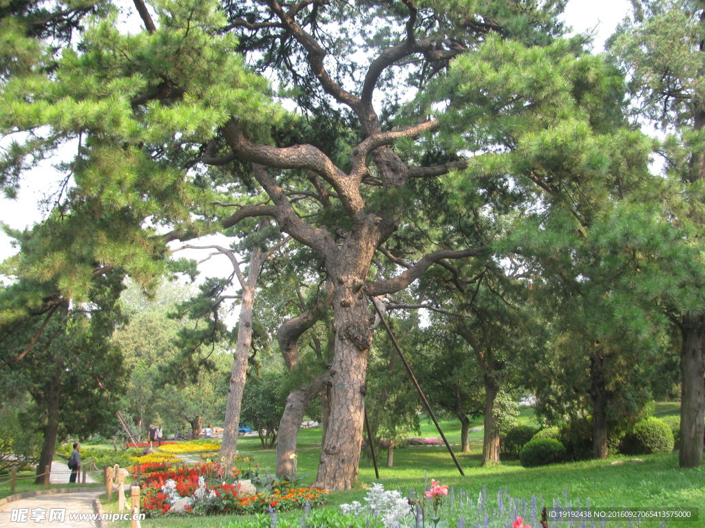 香山公园美景