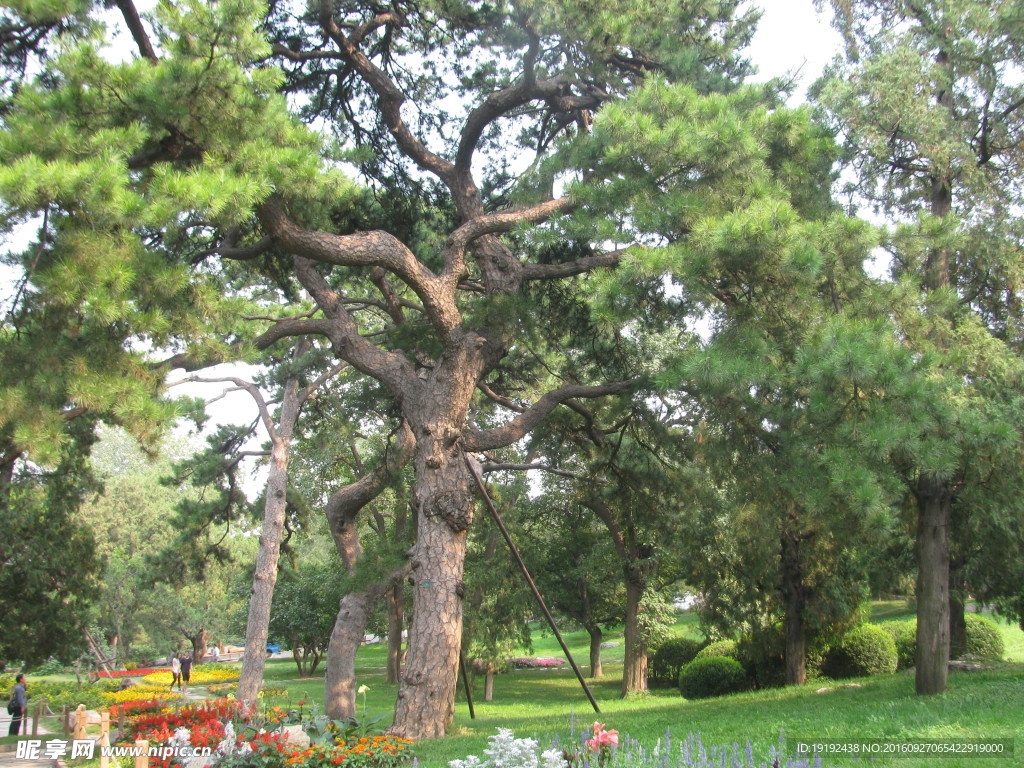 香山公园风景