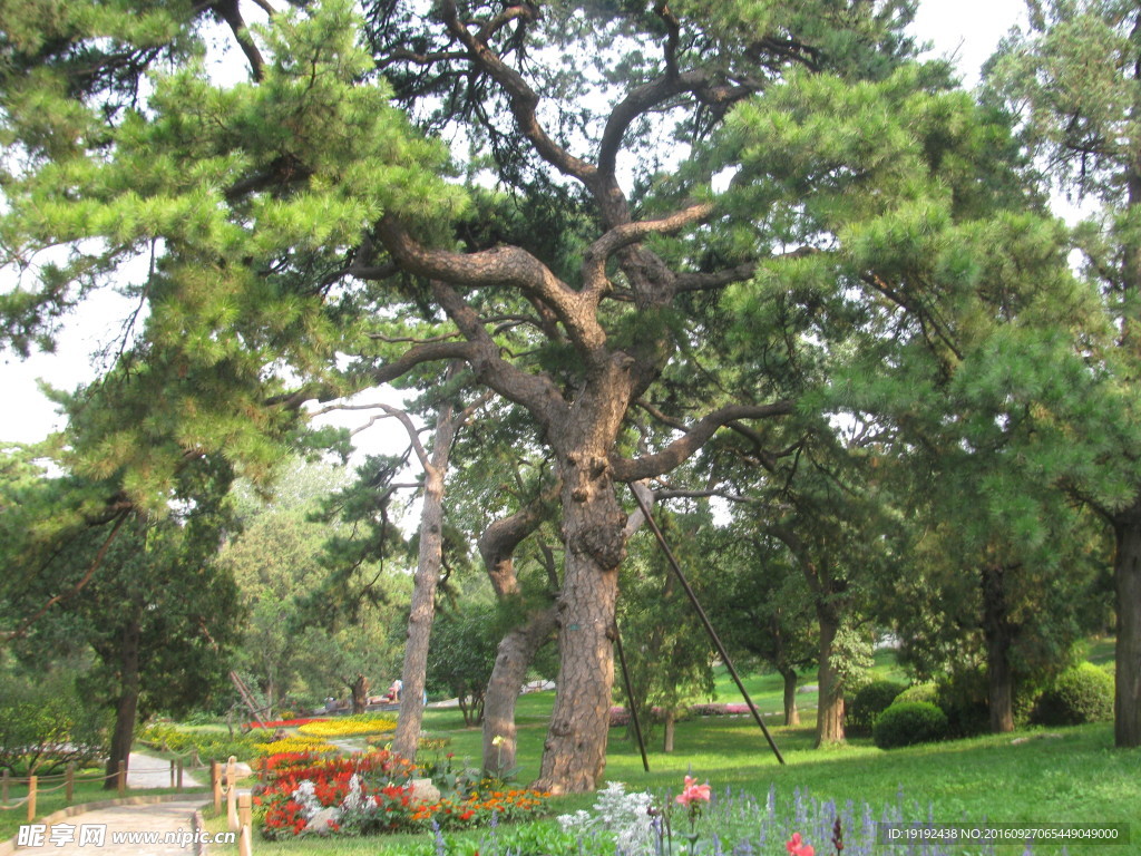 香山公园美景