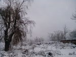 雪乡一角