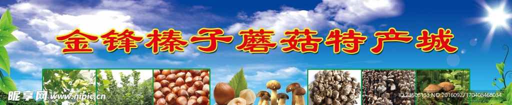 榛子蘑菇土特产城