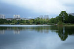 公园风景