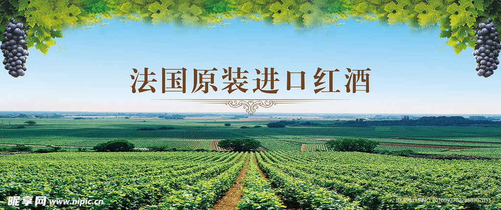 葡萄酒