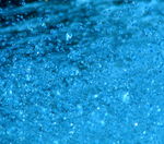 蓝雨