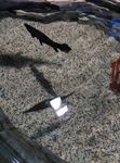 无锡水族馆