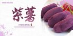 紫薯展板