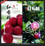 红布林