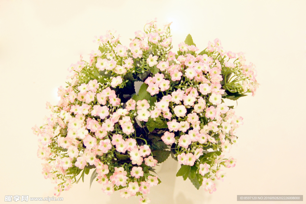 粉色小花