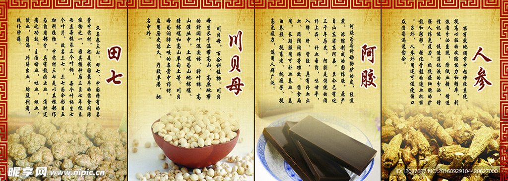 草药展板
