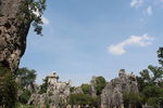 石林风景