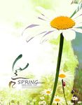 花卉底纹