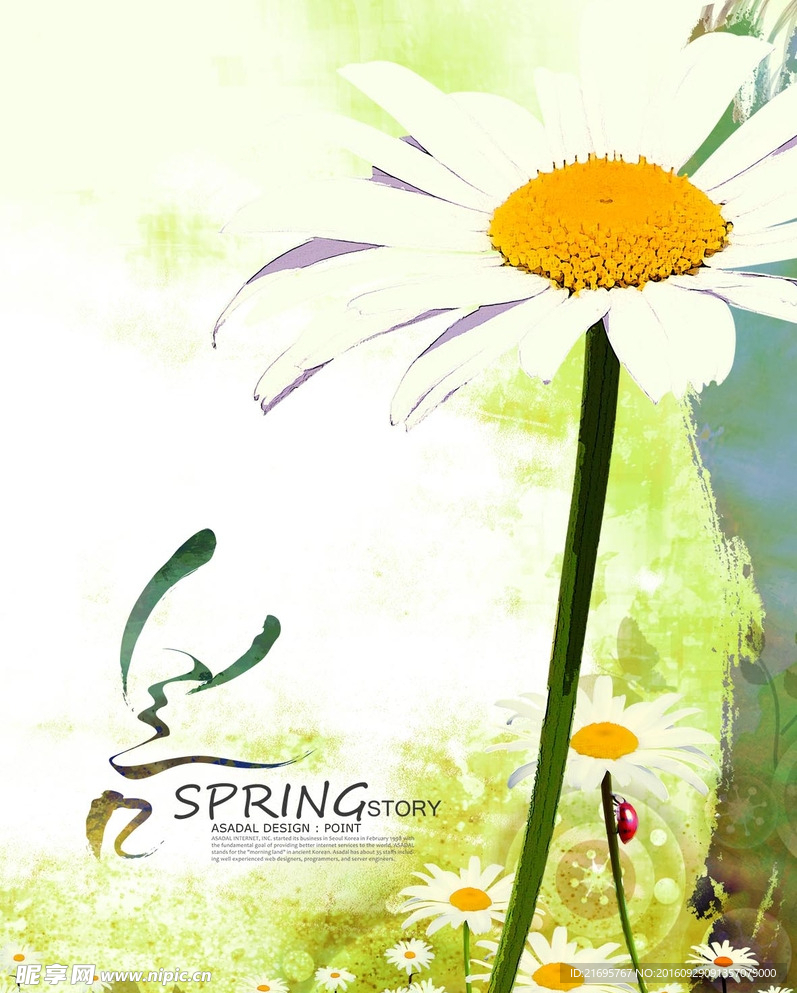 花卉底纹