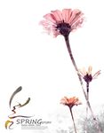 花卉底纹