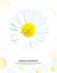 花卉底纹