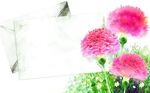 花卉底纹