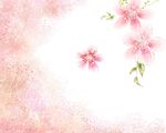 花卉底纹