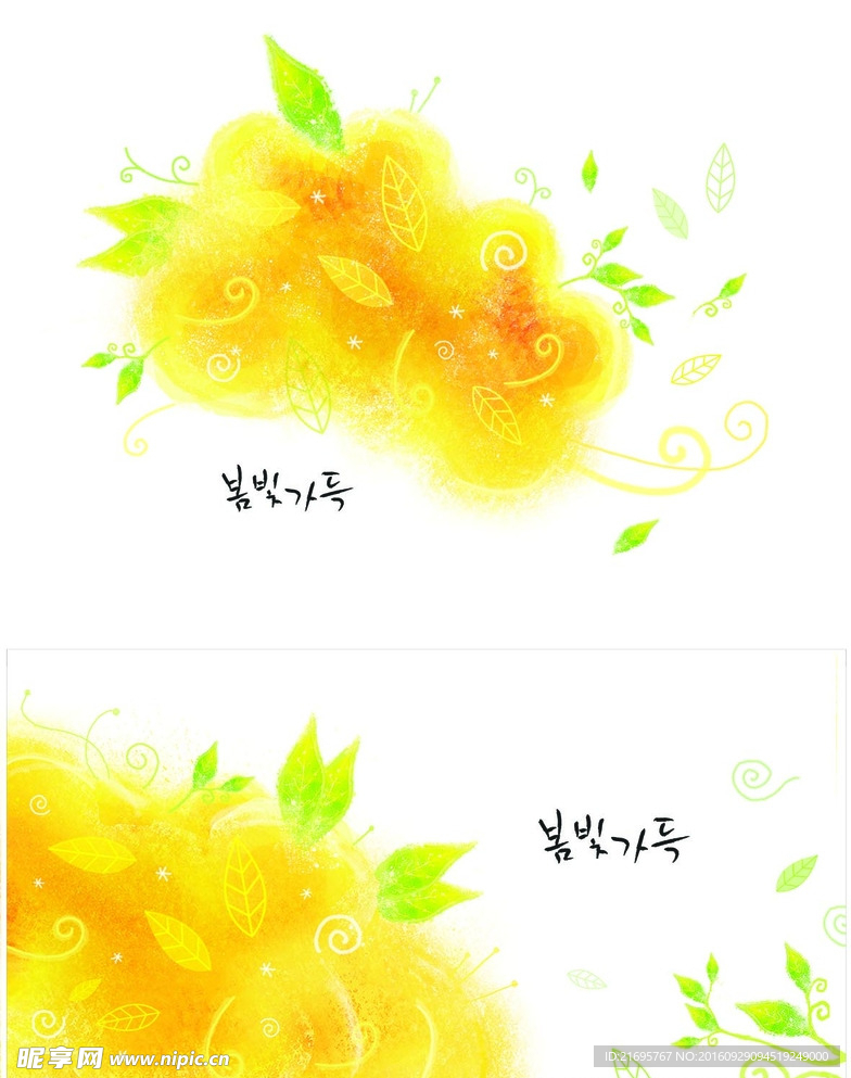 花卉底纹