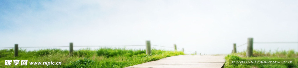 绿色清新banner