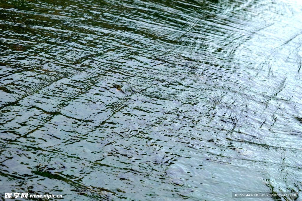 水面